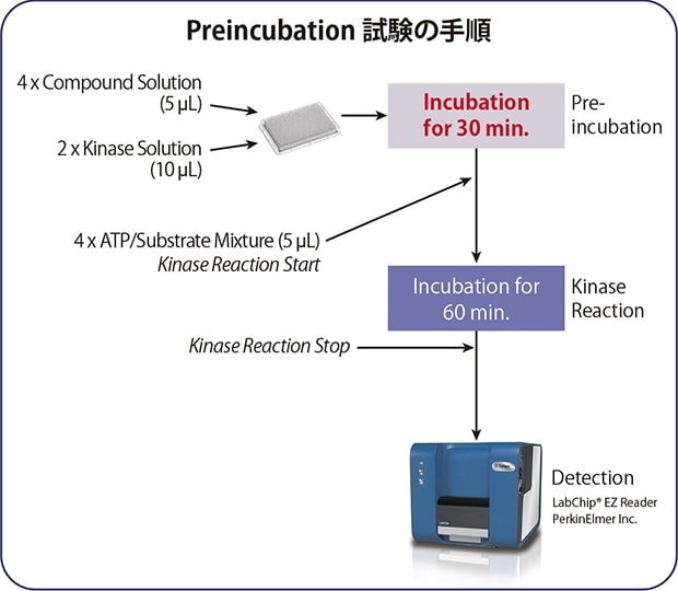 Preincubation 試験の手順