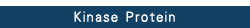 Protein & Lipid Kinases