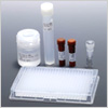 Assay Development