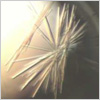 Crystallography
