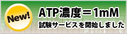 ATP濃度=1mM 試験サービスを開始しました