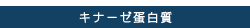 キナーゼ蛋白質