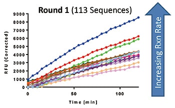 Round1 (113 Sequences)