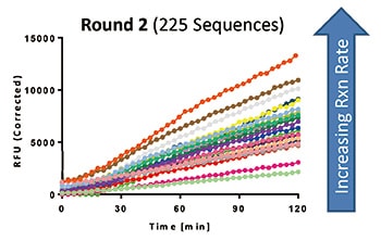 Round2 (225 Sequences)