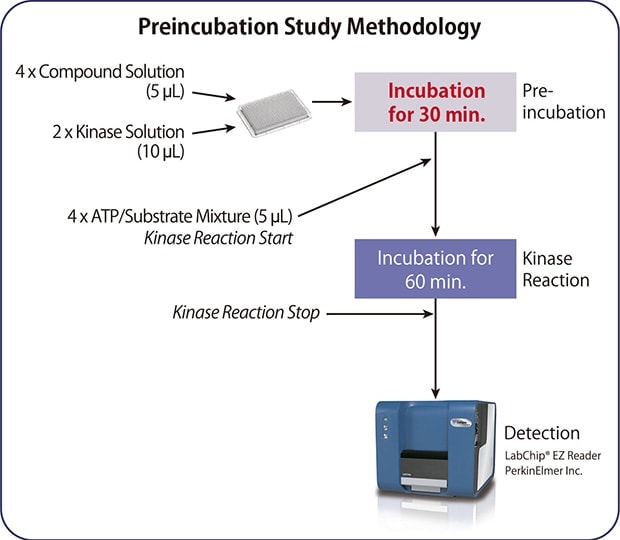 Preincubation Study Methodology