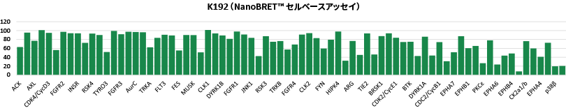 K192 (NanoBRET™ セルベースアッセイ)