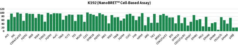 K192 (NanoBRET™ Cell-Based Assay)