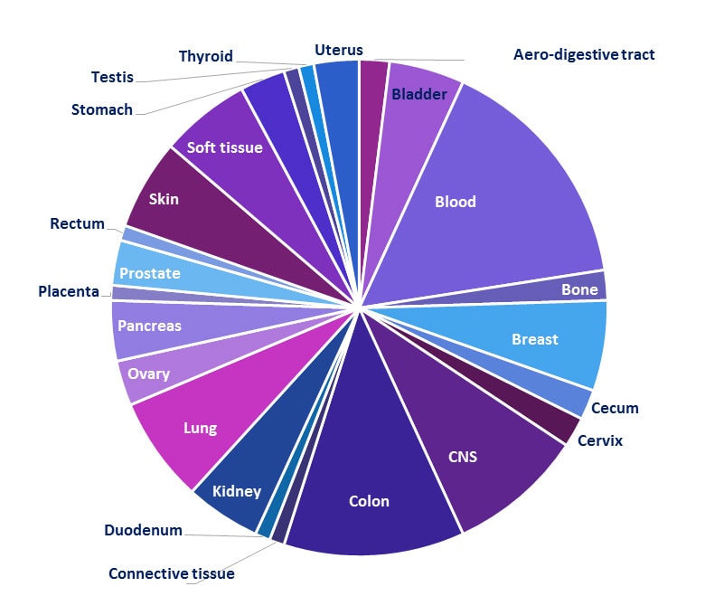 Pie Chart