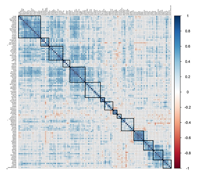 Correlation matrix