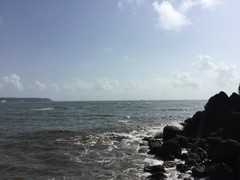写真４　アラビア海を臨むゴアの岸壁
