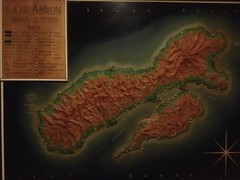 写真１　アンボン島の全景図（2つの火山の島が繋がっている）