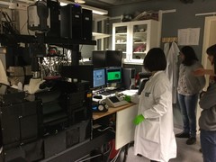 写真４　カロリンスカ研究所内の自作の2光子顕微鏡でのワークショップの一場面