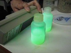 写真２　下村先生が50年以上前に発光クラゲから精製したGFP（緑色蛍光タンパク質）。（撮影：小江克典氏）