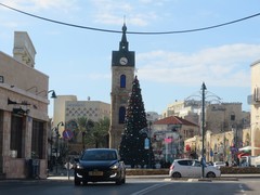 写真２　ジャファの街のクリスマスツリー