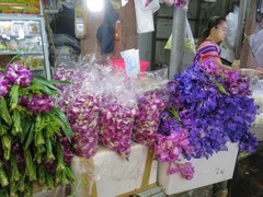 写真３　フラワーマーケットに見る多彩な花々が生物資源そのもの