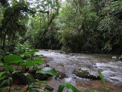 写真1　タピライ公園内の名もない川