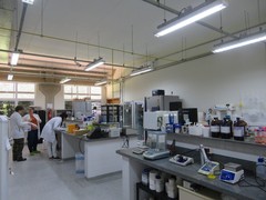 写真２　新しくなった実験室の様子。この日は二人のポスドクと大学院生がいた。　