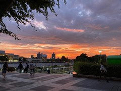 写真１　つくばの駅前から見た夕日。