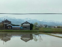 写真１　田植え前の水田に写る立山連峰