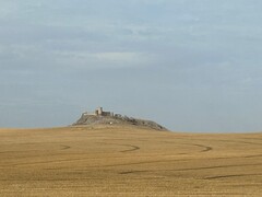 写真３　Enisala要塞の全景。周辺には一面の小麦畑。