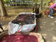 写真1　公園の中でブドウの絞りだしを体験できる。ブドウ水は奥の絞り機で販売する。