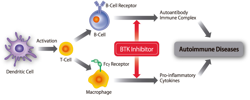 AS-0871 : BTK inhibitor