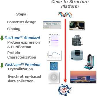 FastLane™ Structures
