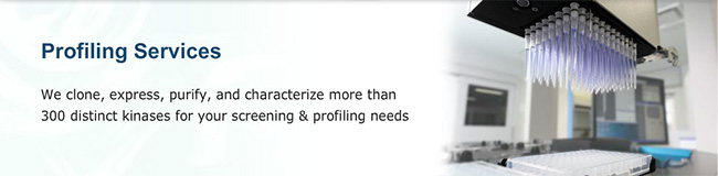 Profiling Services
