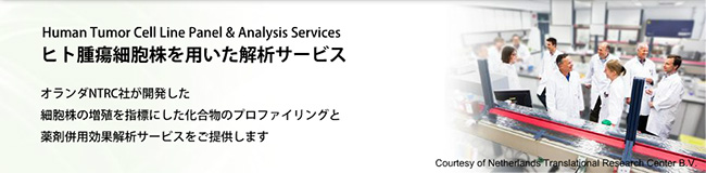 ヒト腫瘍細胞株を用いた解析サービス