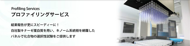 プロファイリングサービス