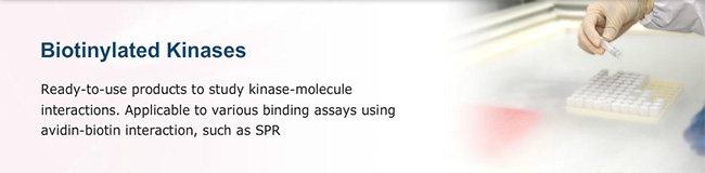 Biotinylated Kinases