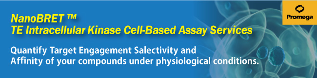 NanoBRET™ TE Intracellular Kinase Cell-Based Assay Services