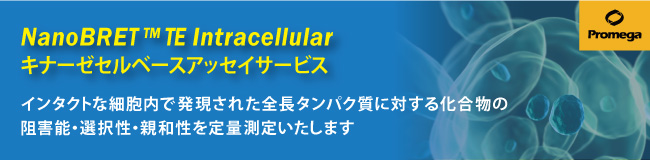 NanoBRET™ TE Intracellular キナーゼセルベースアッセイサービス