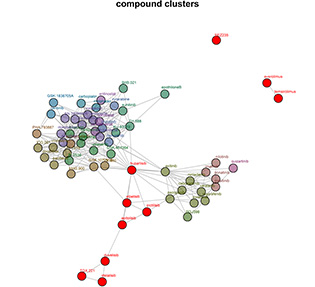 Network tree